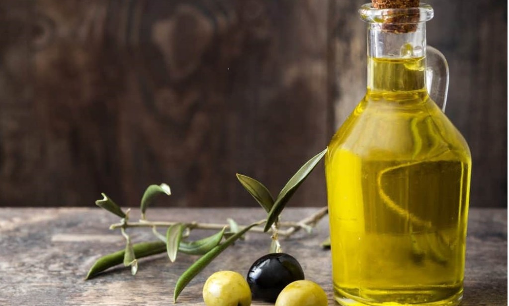 دراسة جدوى مشروع مصنع زيت الزيتون متوسط أو صغير الإنتاج وتحقيق أرباح بالملايين