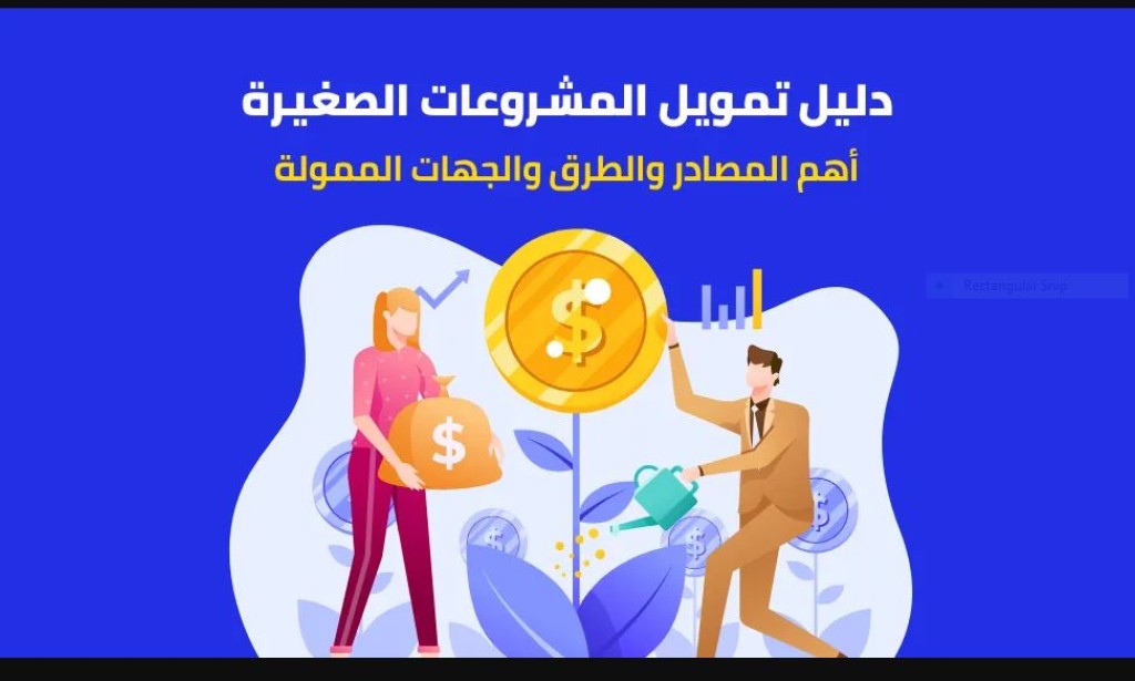 تمويلك الآن من شركة محمد فهمي لتمويل المشروعات: شريكك المثالي لتحقيق النجاح